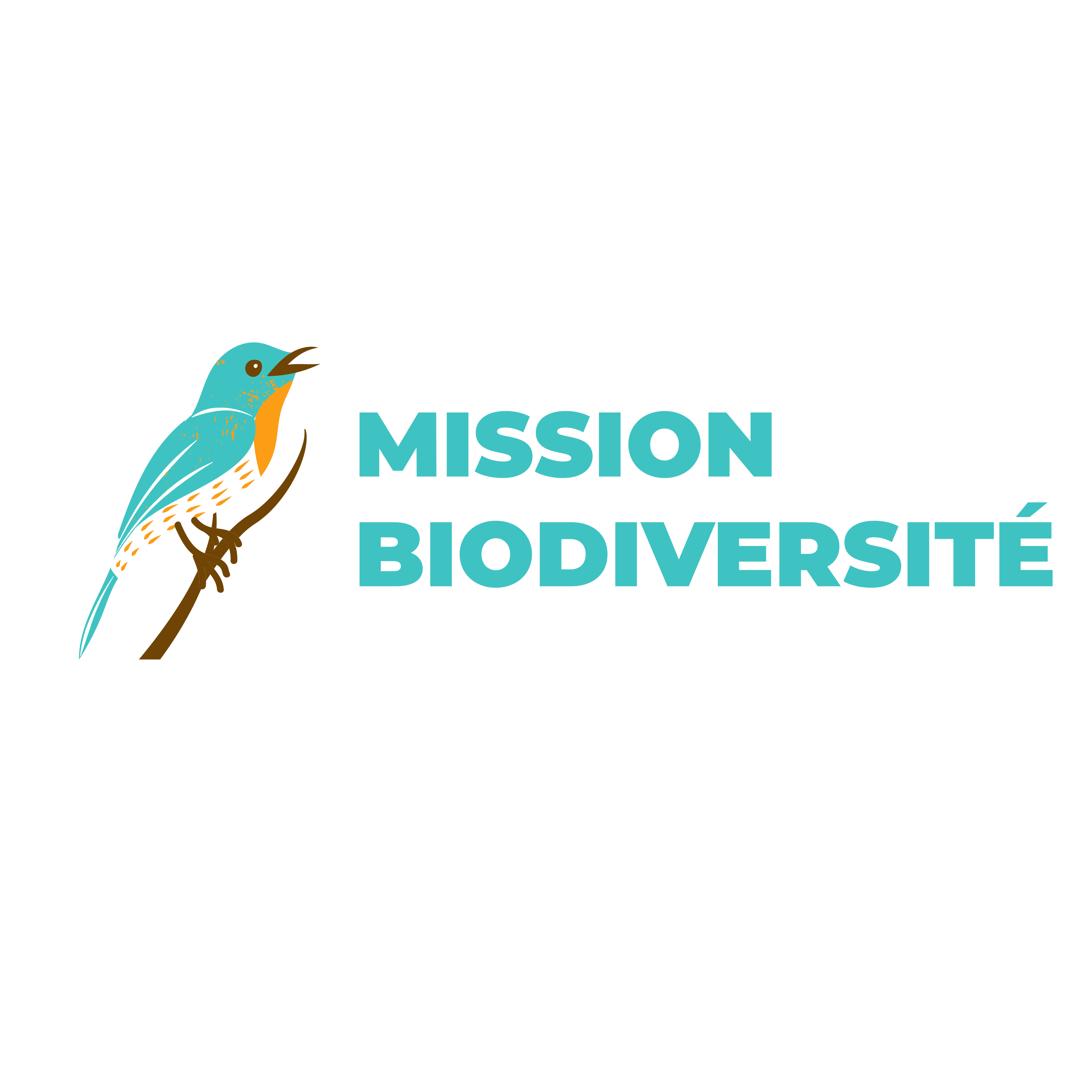 Fresque de la biodiversité